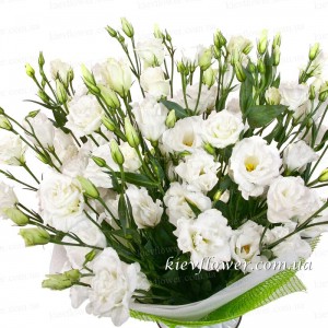 Букет "Серенада" — Букети квітів купити з доставкою в KievFlower.  Артикул: 1238