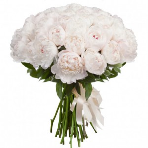 Seventeen white peonies — KievFlower - flowers to Kiev & Ukraine 