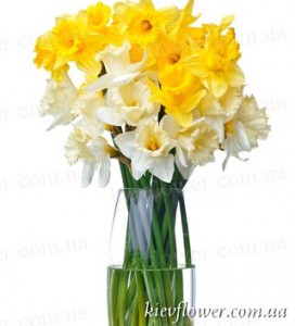 Солнце весны — Букеты цветов заказать с доставкой в KievFlower.  Артикул: 0495