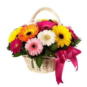 Basket with gerberas — KievFlower - flowers to Kiev & Ukraine 