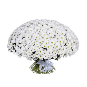 Букет из 101 белой кустовой хризантемы — Kievflower - Доставка цветов