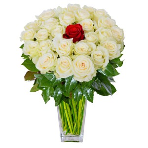 Моя единственная 35 роз — Kievflower - Доставка цветов