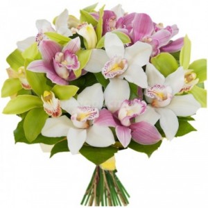 Облако орхидей — Kievflower - Доставка цветов