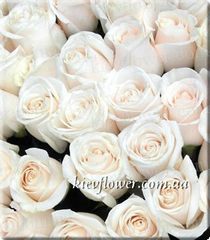 Роза Vendella — Голландские розы заказать с доставкой в KievFlower.  Артикул: 1310