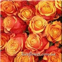 Роза Cherry Brandy — Голландские розы заказать с доставкой в KievFlower.  Артикул: 1306