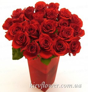 Букет красных роз "Стрела Амура" - 19 шт. — Букеты цветов заказать с доставкой в KievFlower.  Артикул: 1218