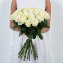 Роза белая Украина 60-70 см.