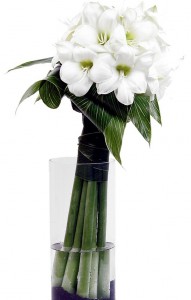 Букет белых амариллисов — Kievflower - Доставка цветов