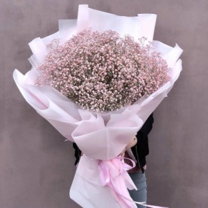 Большой букет из розовой гипсофилы — Kievflower - Доставка цветов