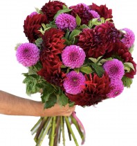 Beautiful dahlia bouquet