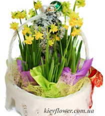 Basket with daffodils - Order bouquets of flowers with delivery in KievFlower.