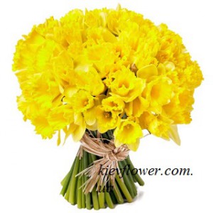 You are my sun - 51 narcissus — KievFlower - flowers to Kiev & Ukraine 