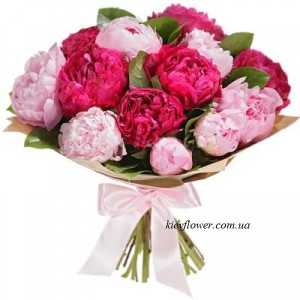 Fifteen peonies with delivery — KievFlower - flowers to Kiev & Ukraine 