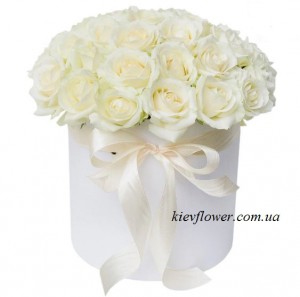 31 белая роза в коробке  — Kievflower - Доставка цветов