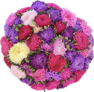 Seasonal bouquet - Asters - Order bouquets of flowers with delivery on KievFlower. Reference: 0777