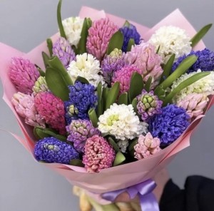 Букет разноцветных гиацинтов — Kievflower - Доставка цветов