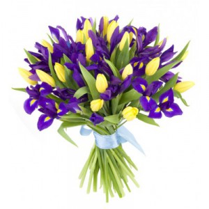 Patriotic bouquet of yellow tulips and irises — KievFlower - flowers to Kiev & Ukraine 