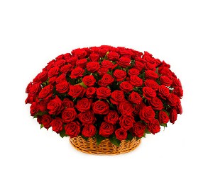 101 красная роза в корзине  — Kievflower - Доставка цветов