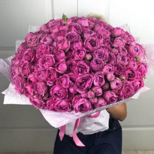 101 рожева піоновидна троянда — Kievflower - Доставка квiтiв