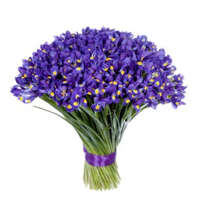 Букет из 101 ириса — Kievflower - Доставка цветов