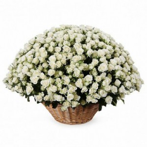 Корзина из 101 белой кустовой розы — Kievflower - Доставка цветов