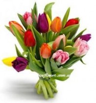 11 різнокольорових тюльпанів
