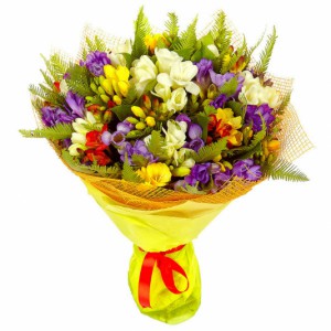 Bouquet of 51 freesia — KievFlower - flowers to Kiev & Ukraine 