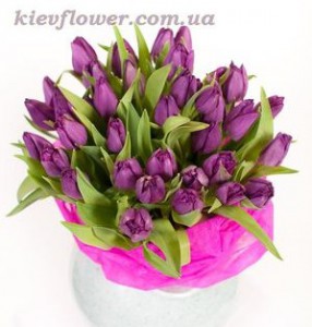25 фиолетовых тюльпанов — Букеты цветов заказать с доставкой в KievFlower.  Артикул: 1046