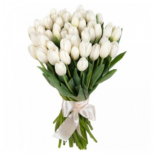 Букет з 25 білих тюльпанів — Kievflower - Доставка квiтiв
