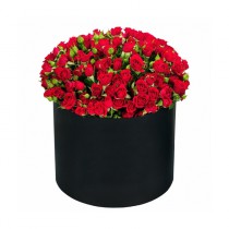 15 красных кустовых роз в шляпной коробке