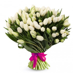 Букет з 75 білих тюльпанів — Kievflower - Доставка квiтiв