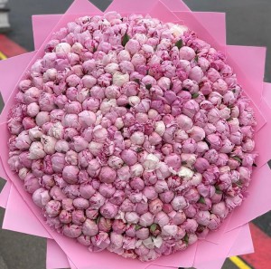 Gorgeous bouquet of 301 peonies — KievFlower - flowers to Kiev & Ukraine 