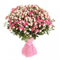Букет з 101 кремової та рожевої кущової троянди