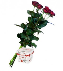 5 красных роз + рафаэлло — Kievflower - Доставка цветов