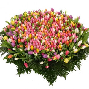 Basket of 501 tulips - order bouquets of flowers with delivery on KievFlower.