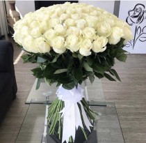 55 белоснежных роз (Эквадор) h 100 cm