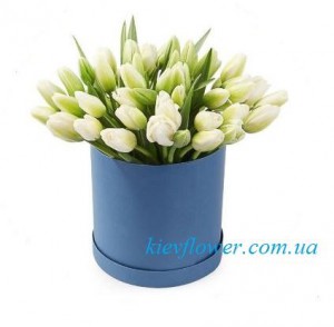 51 tulips "Present for you" — KievFlower - flowers to Kiev & Ukraine 
