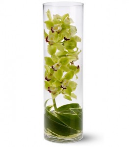 Орхидея в вазе — Орхидеи заказать с доставкой в KievFlower.  Артикул: 8005
