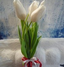 7 тюльпанів — Букети квітів купити з доставкою в KievFlower.  Артикул: 17994
