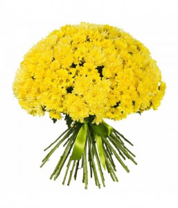 Букет из 51 ветки желтой хризантемы — Kievflower - Доставка цветов