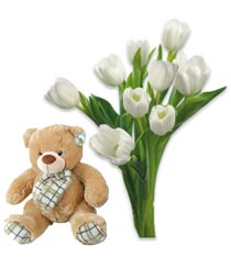 Tulips and teddy bear