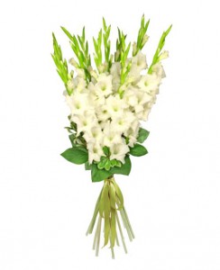 Букет из белых гладиолусов — Kievflower - Доставка цветов