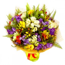 Bouquet of 51 freesia