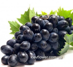 Черный виноград — Kievflower - Доставка цветов
