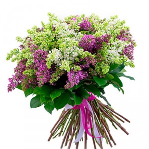 Bouquet Emily — KievFlower - flowers to Kiev & Ukraine 