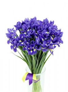 Bouquet of 51 Iris — KievFlower - flowers to Kiev & Ukraine 