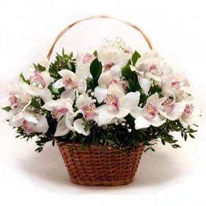 Корзина из белых орхидей " Екатерина " — Kievflower - Доставка цветов
