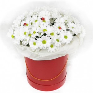 Charming arrangement of chrysanthemums in a hat box — KievFlower - flowers to Kiev & Ukraine 