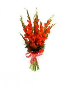 Bright bouquet of orange gladiolus — KievFlower - flowers to Kiev & Ukraine 