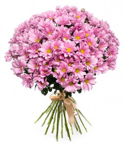 Букет из 25 веток розовой хризантемы — Kievflower - Доставка цветов